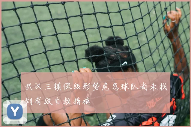 武汉三镇保级形势危急球队尚未找到有效自救措施