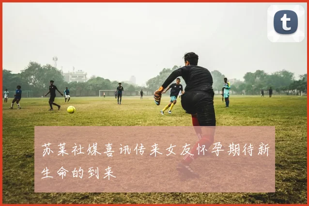 苏莱社媒喜讯传来女友怀孕期待新生命的到来