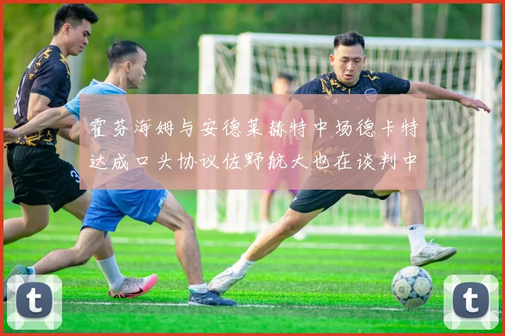 霍芬海姆与安德莱赫特中场德卡特达成口头协议佐野航大也在谈判中